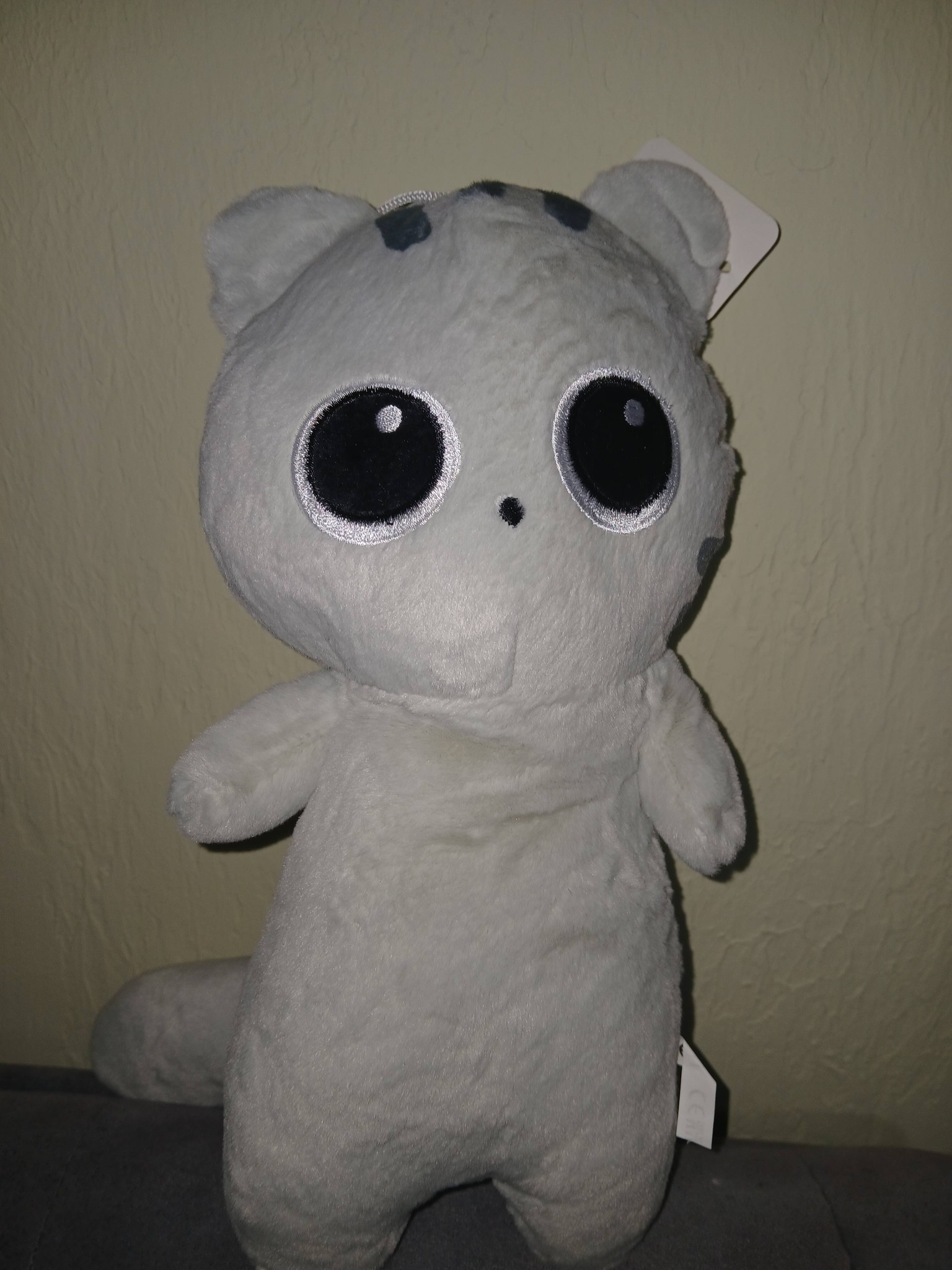 ფისო 20ლ